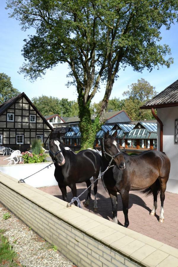 Landhotel Hof Barrl Schneverdingen Dış mekan fotoğraf
