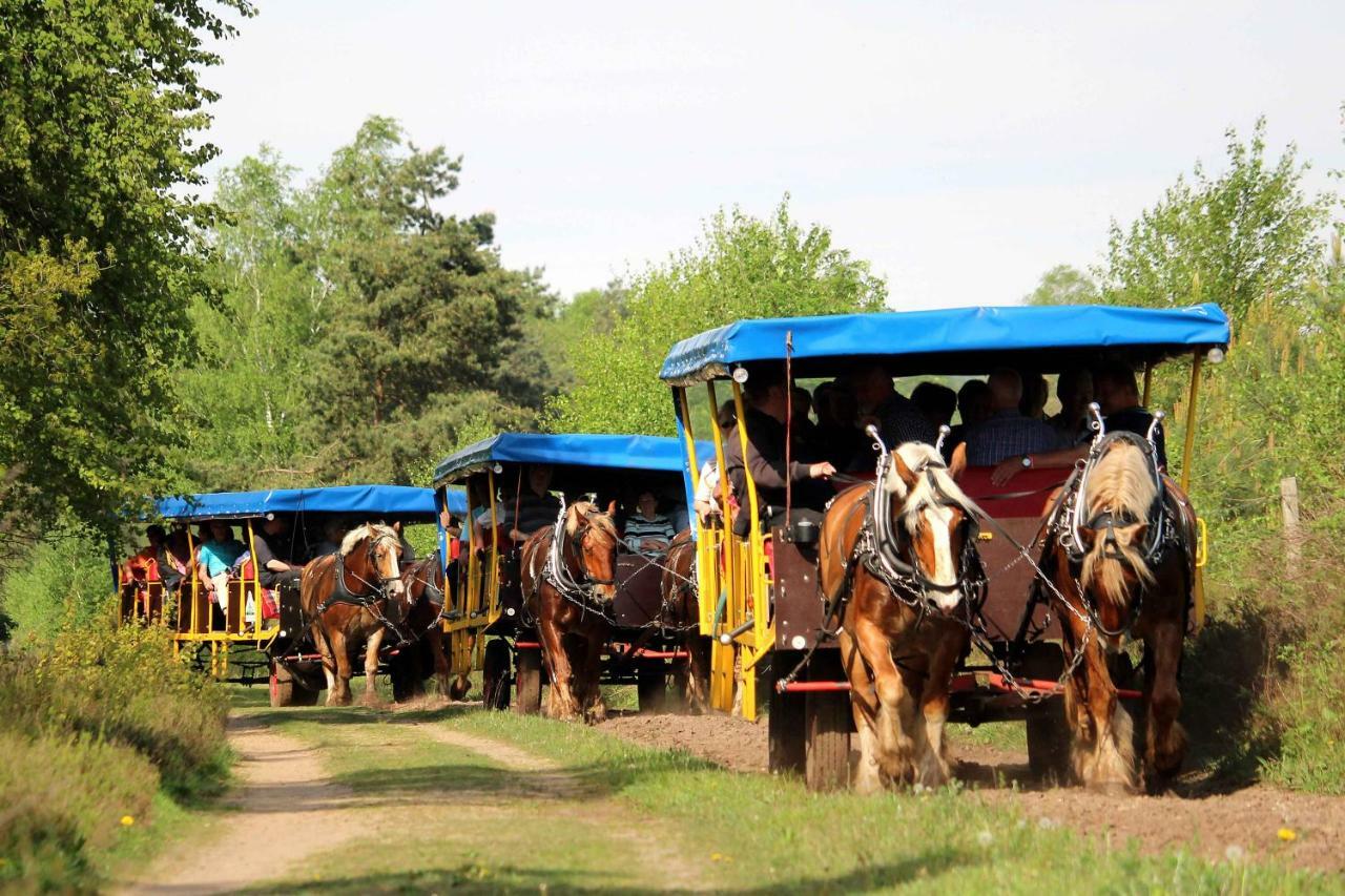 Landhotel Hof Barrl Schneverdingen Dış mekan fotoğraf